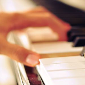 毛片视频免费播放
