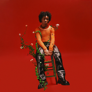 毛片视频免费播放
