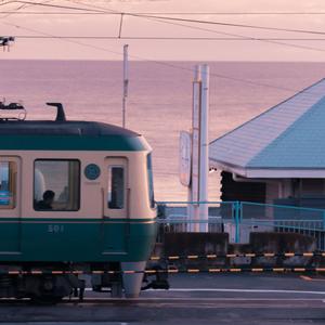 毛片视频免费播放
