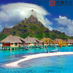 毛片视频免费播放
